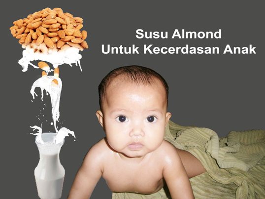 Kacang Kenari